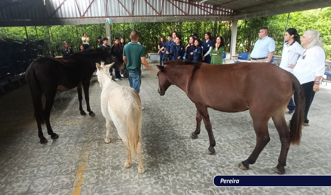 Sesión Terapia Asistida por Animales