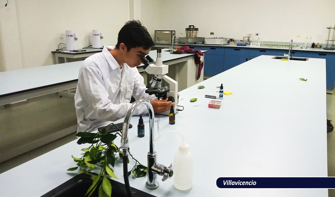 Química