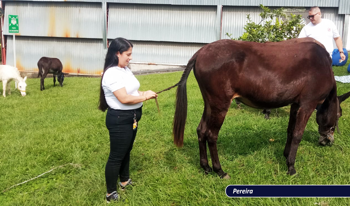 Sesión Terapia Asistida por Animales