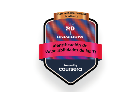 Insignia Digital en Identificación de Vulnerabilidades de las TI