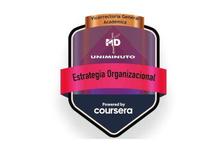 Insignia Digital en Estrategia Organizacional