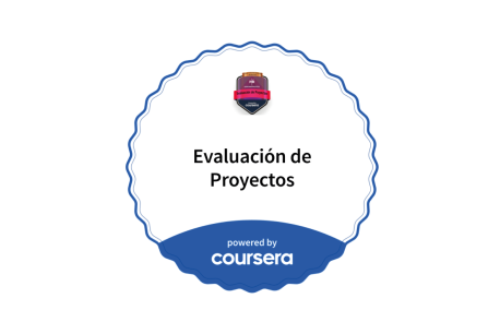 Insignia Digital en Evaluación de Proyectos