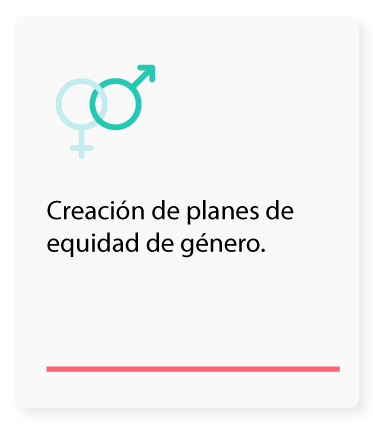 Creación de planes de equidad de género 