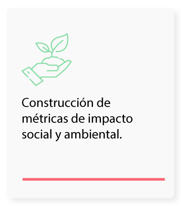 Construcción de métricas de impacto social y ambiental 