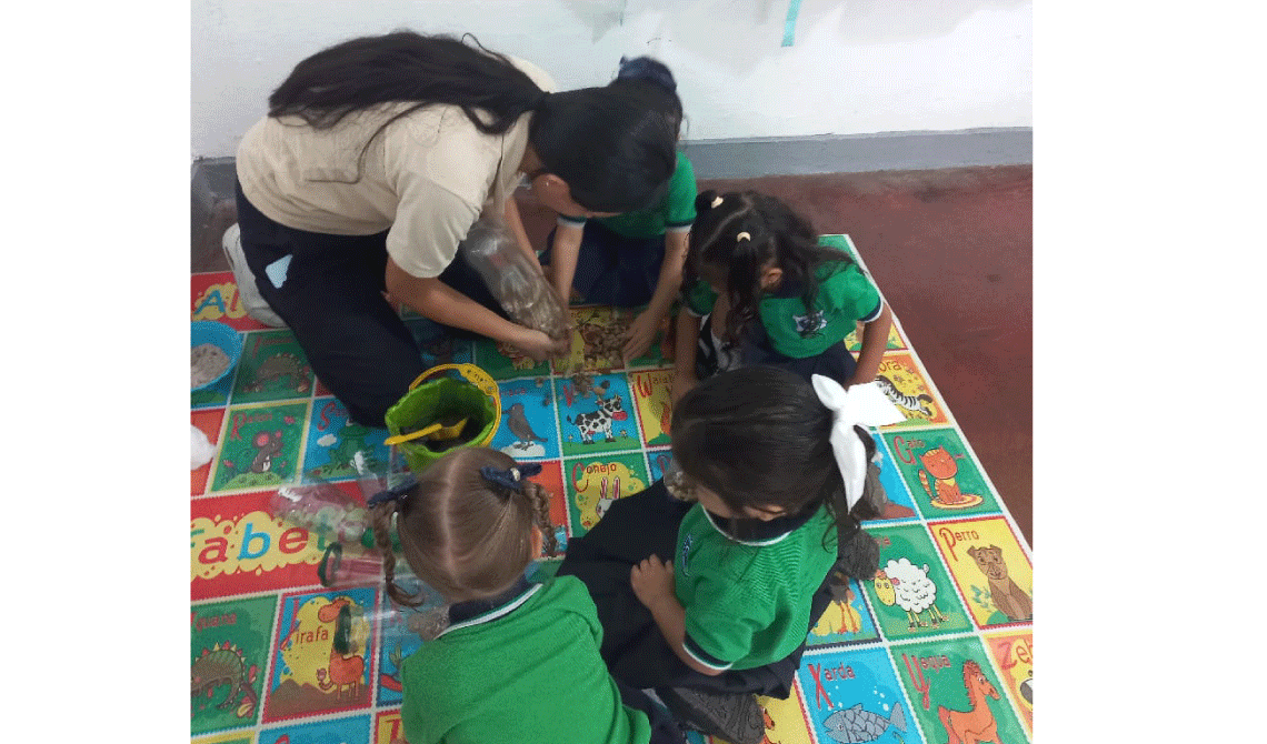 Inmersiones sociales 2025 - 1