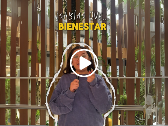 Servicios que ofrece Bienestar 