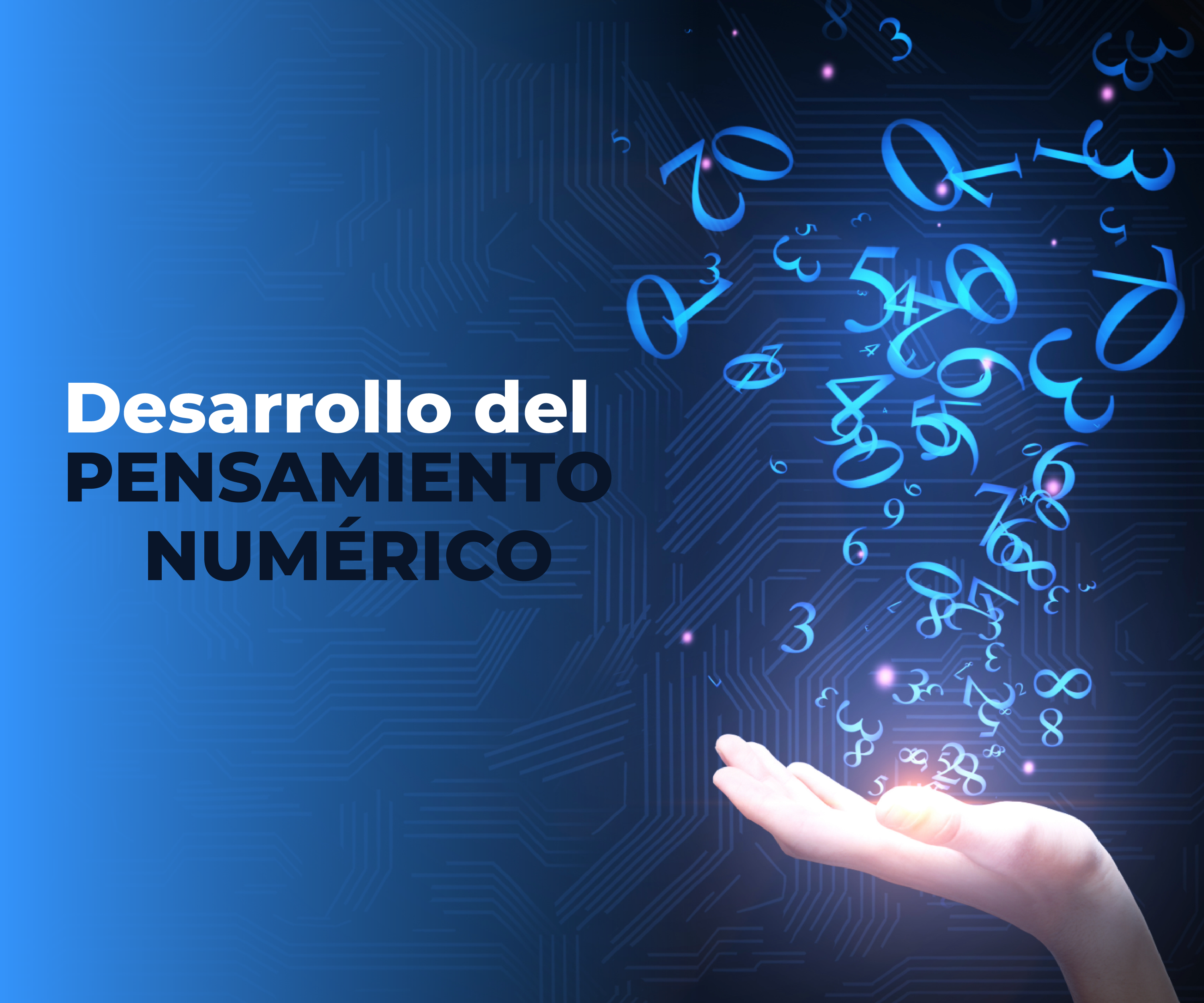 Desarrollo del pensamiento numérico