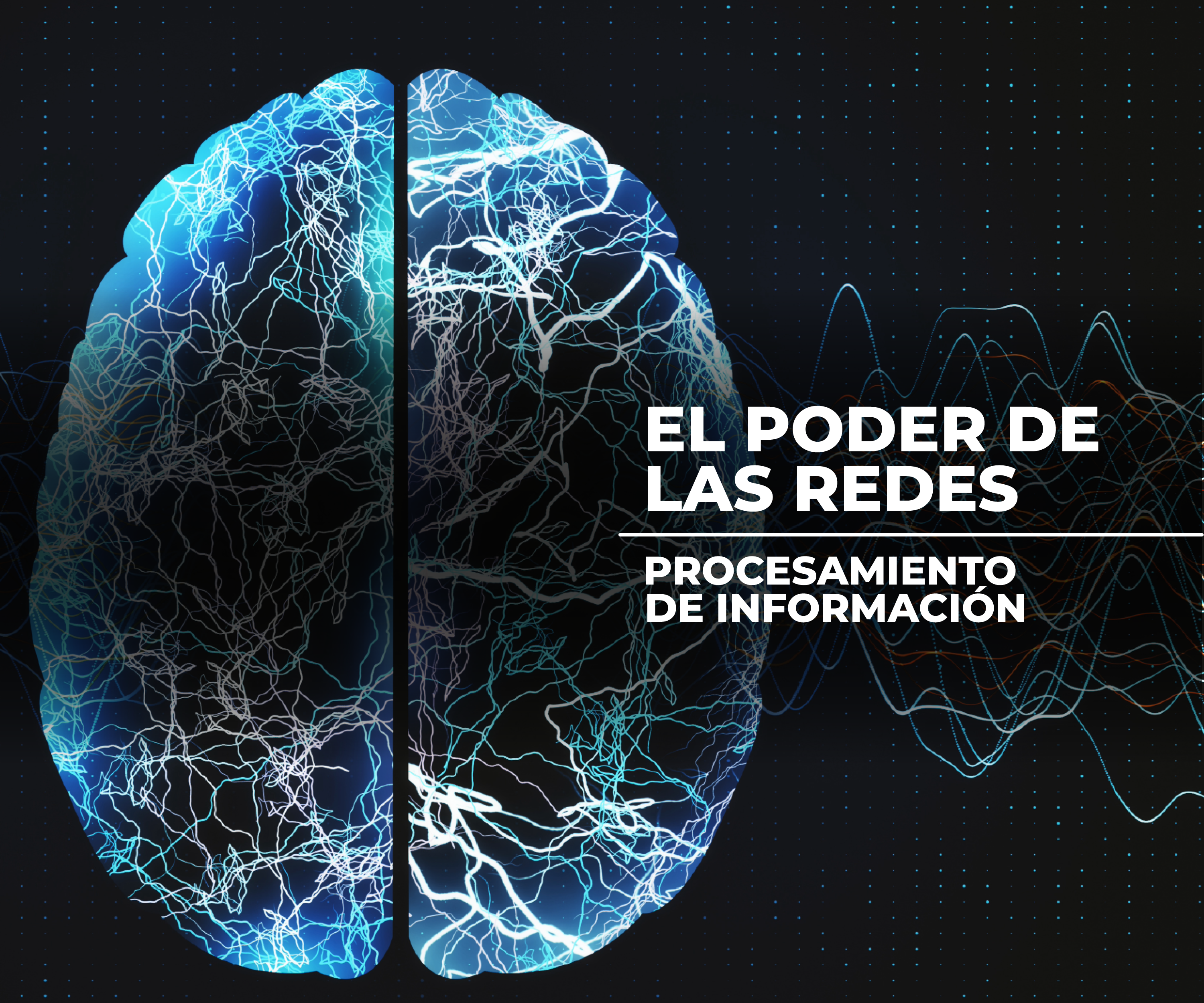El poder de las redes: procesamiento de información