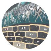 Preservación cultural