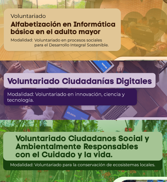 Voluntariados PSF