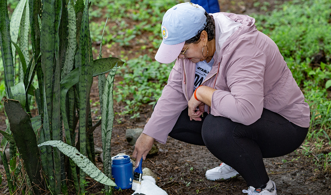 Voluntariado 70 años UMD Buga