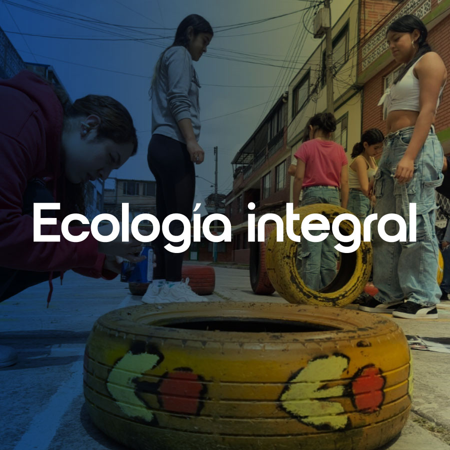 ficha ecología integral