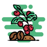 Región Andina