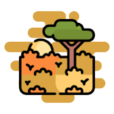 Región Orinoquía