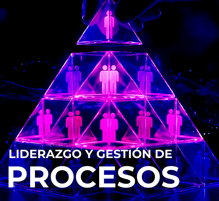 Liderazgo y gestión de procesos
