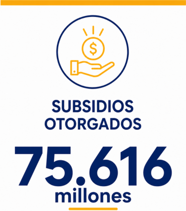 subcidio 