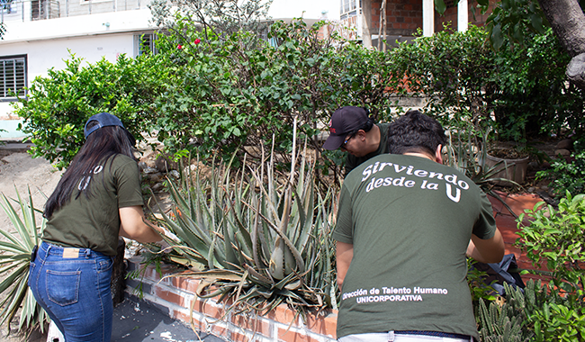 Limpieza y jardinería de zonas comunes del barrio Panamericano