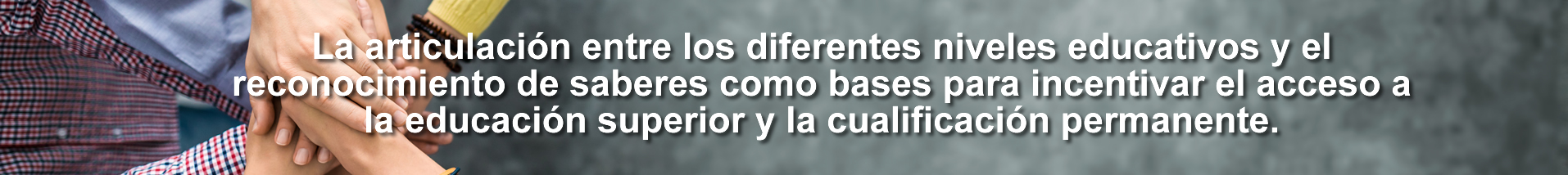 Manos unidas articulacion