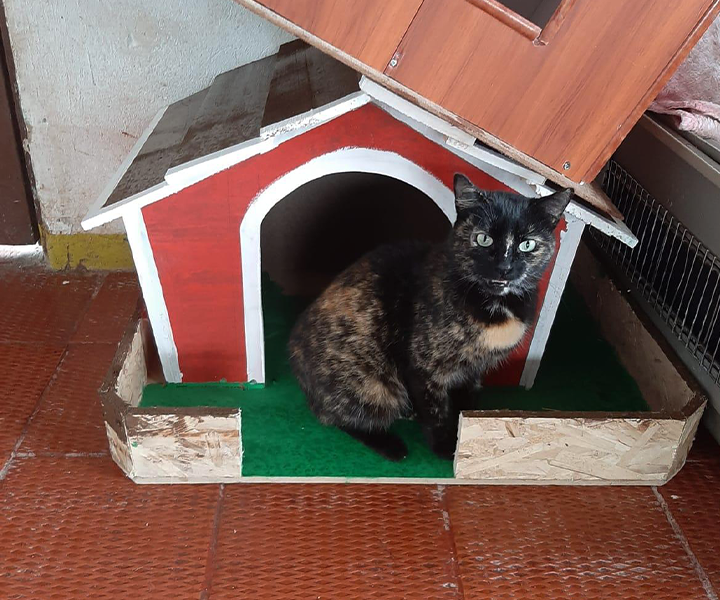 Casa para mascota donada a la fundación Ayudarte 3 A del municipio de Zipaquirá