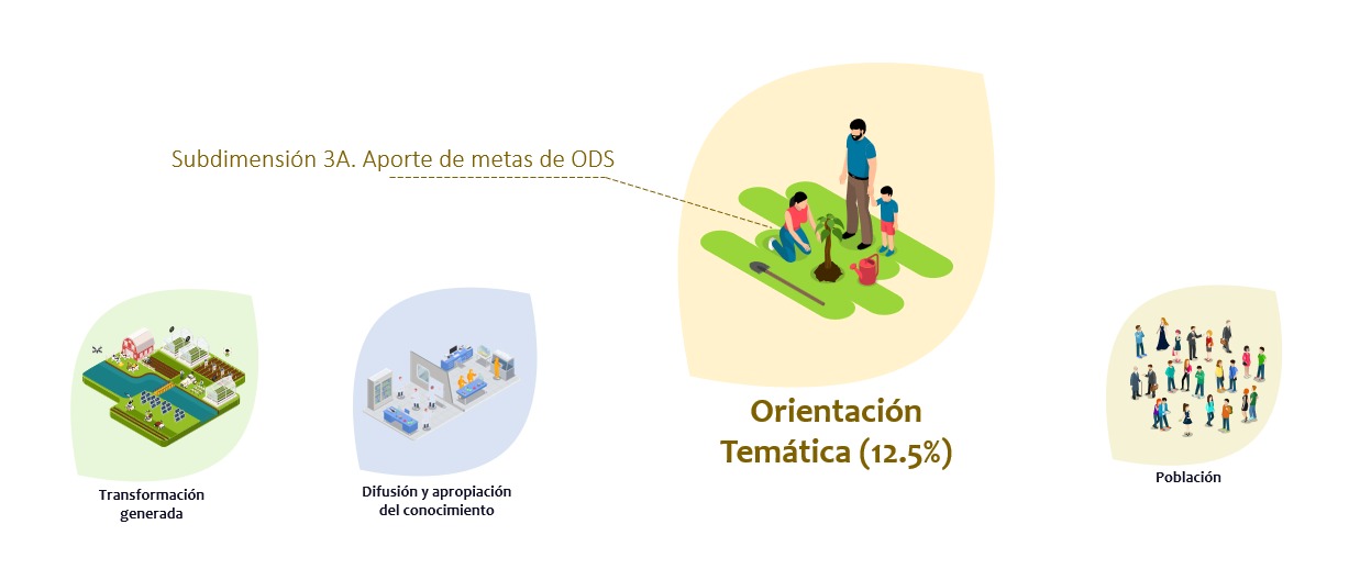 Dimensión 3. Orientación Temática: