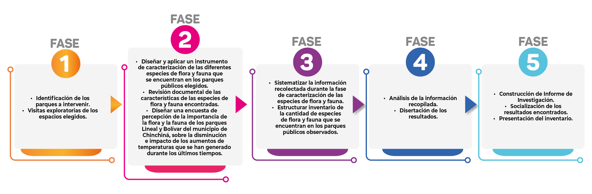 Fases de implementación 
