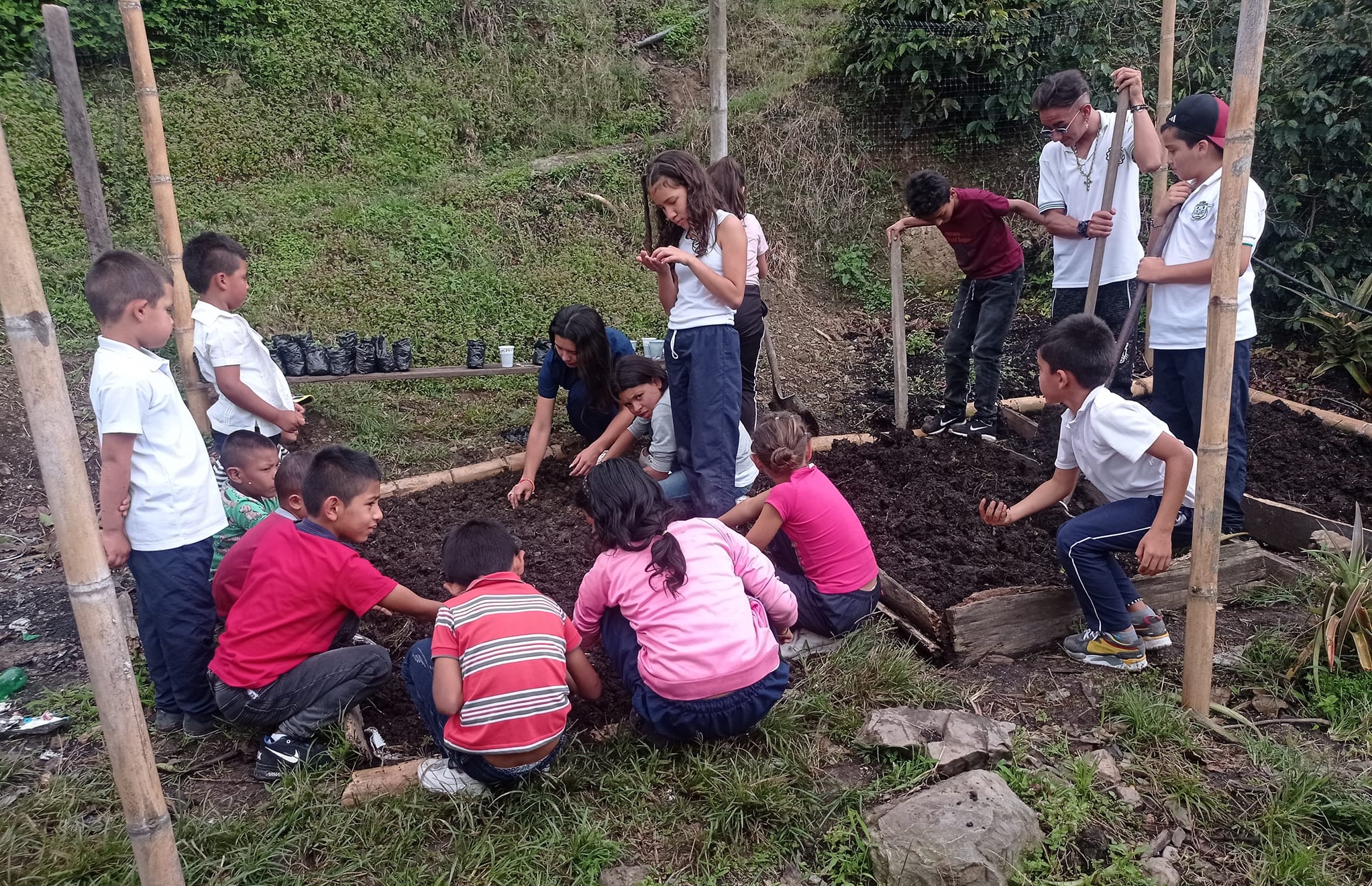 sembrando vida con niños y jóvenes