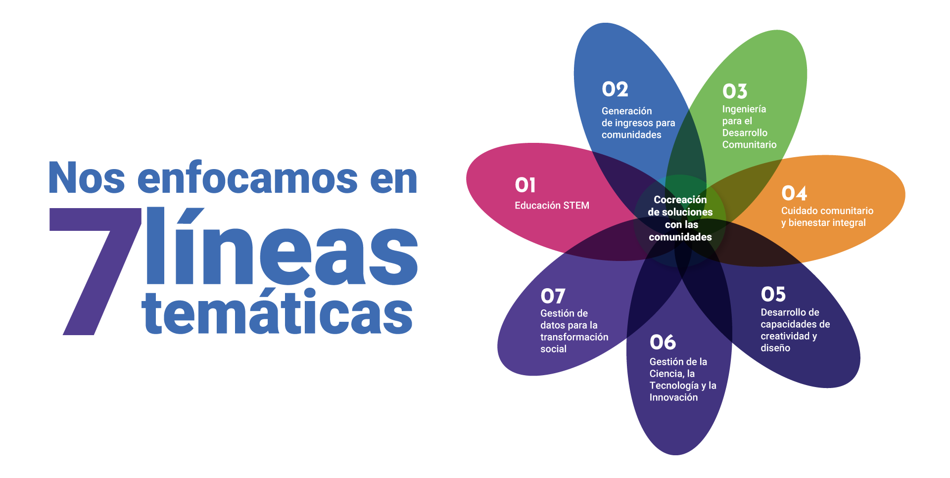 Lineas tematicas pcis