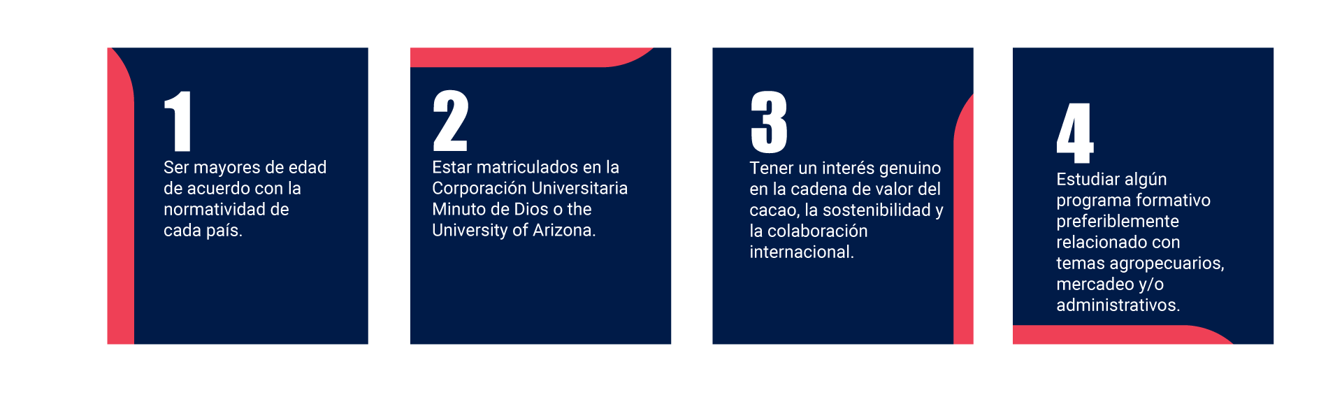 Requisitos de postulación 100K