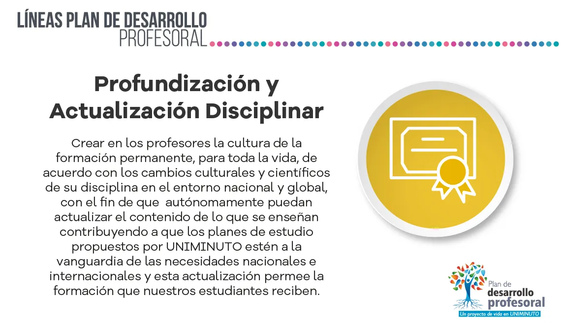 Profundización y actualización profesoral