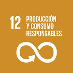 ODS 12