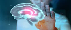 Aula Especializada de Neurociencia