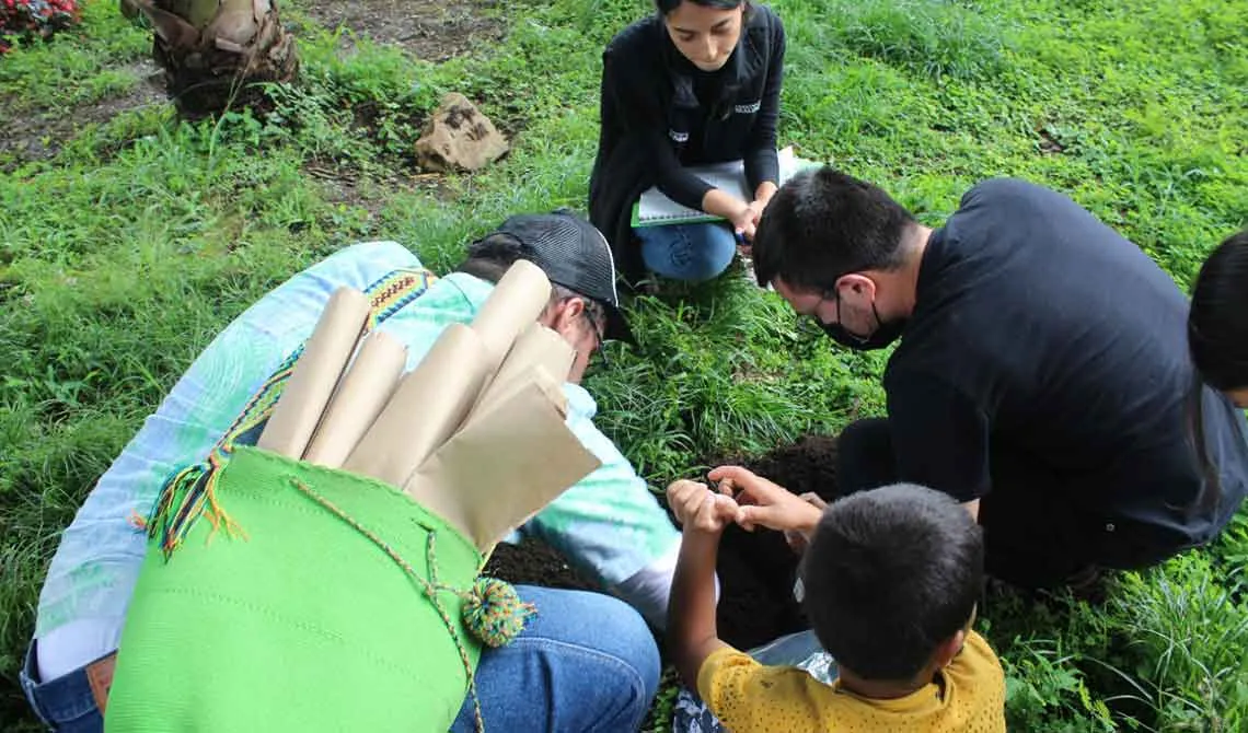 Caracterización de los parques