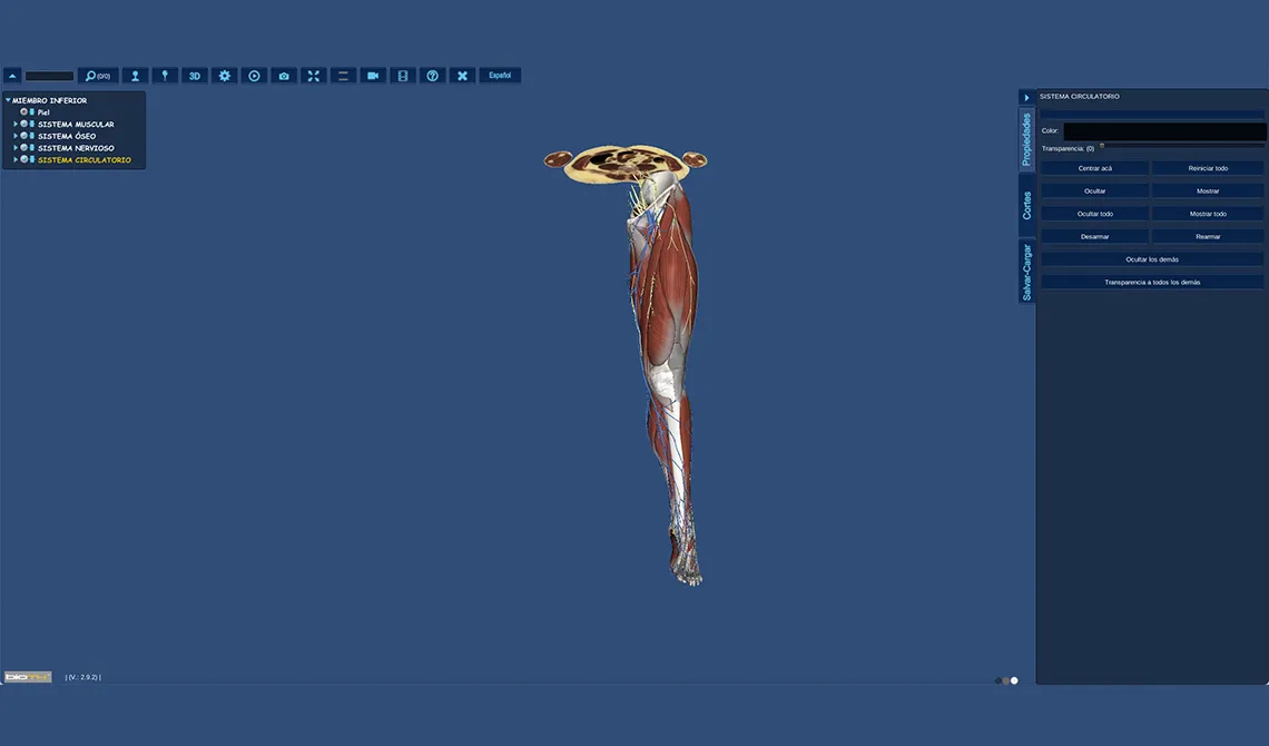 BioTK - Atlas de Anatomía