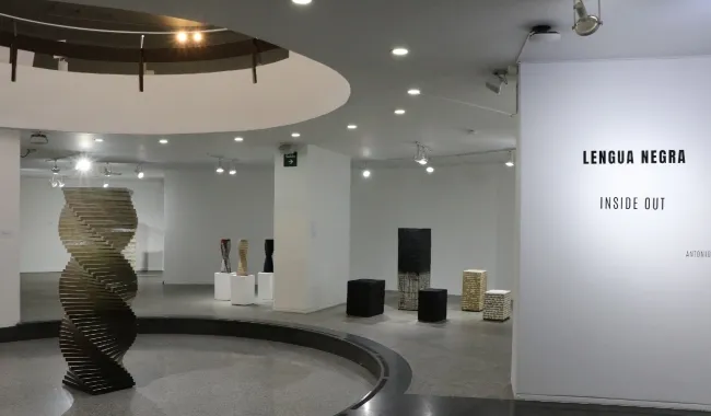 Exposición interna en el MAC: Lengua Negra- Inside Out