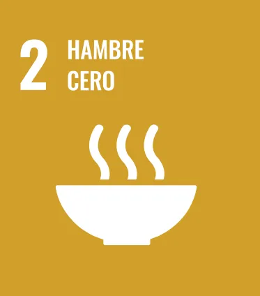 Hambre cero