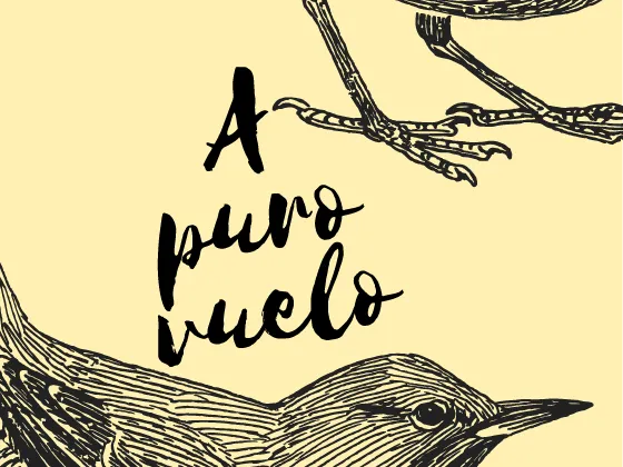 Juego a Puro Vuelo