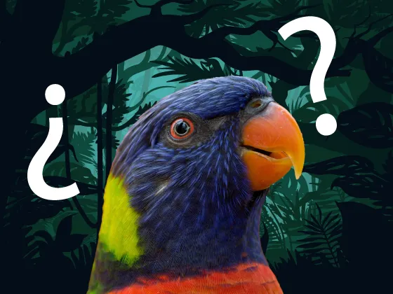 Trivia de aves