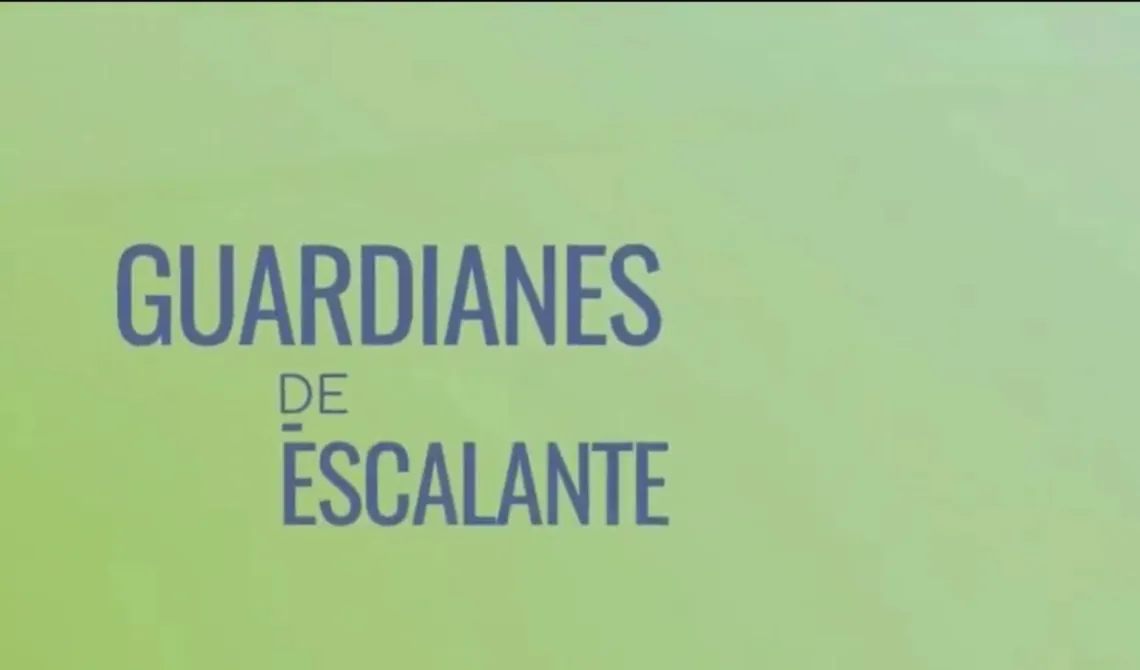 Video guardianes de escalante