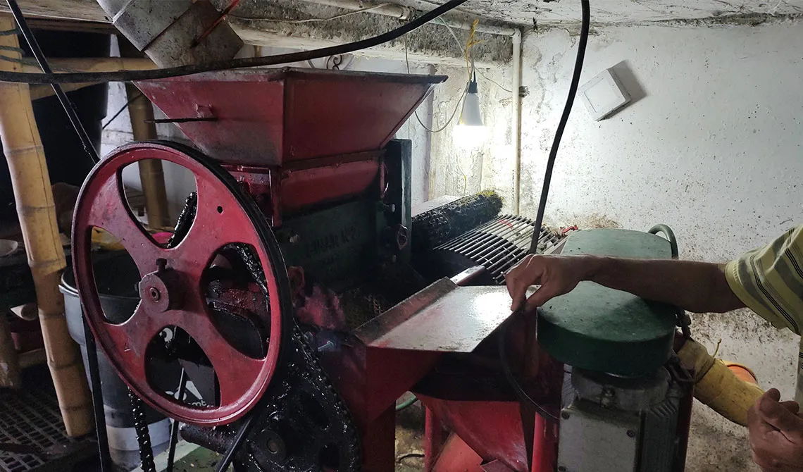Dispositivo para beneficio de pulpa