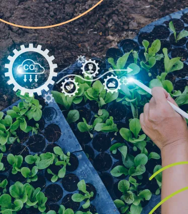 Agrotecnología y agricultura inteligente