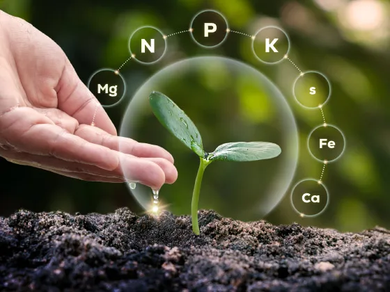 cartilla concepto y evaluación de riesgo del seguro agropecuario