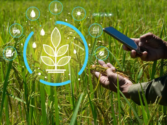Macro en Excel herramienta para el sector agropecuario