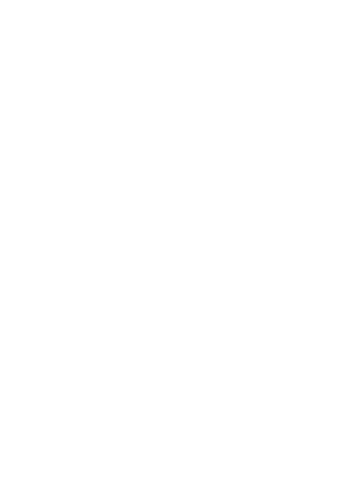 Voluntarios Internacionales