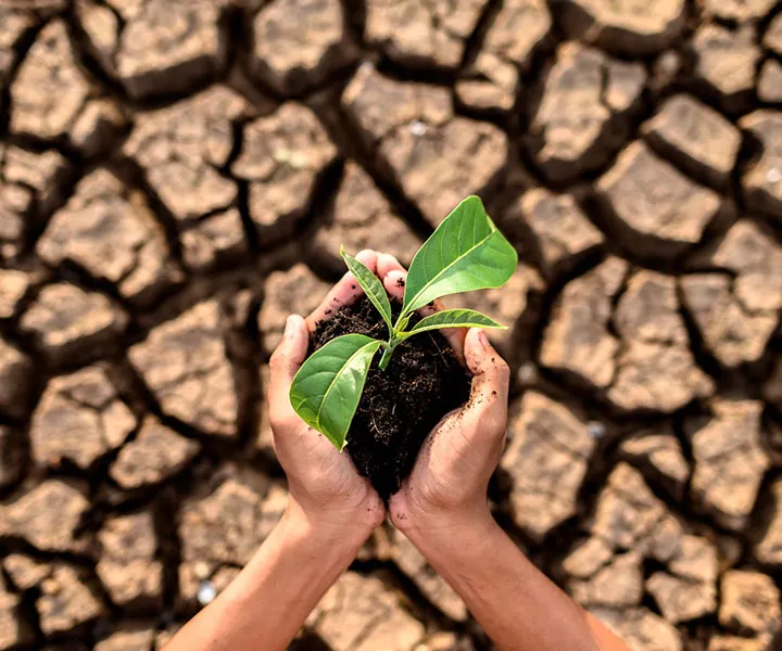 Avanza 100K CLIMA, un proyecto para proponer soluciones al cambio climático  