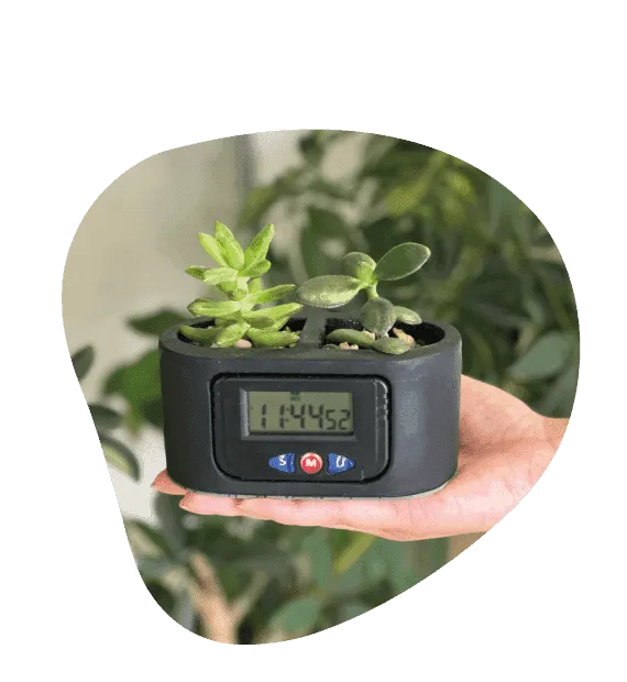 Energia con plantas patentes uniminuto