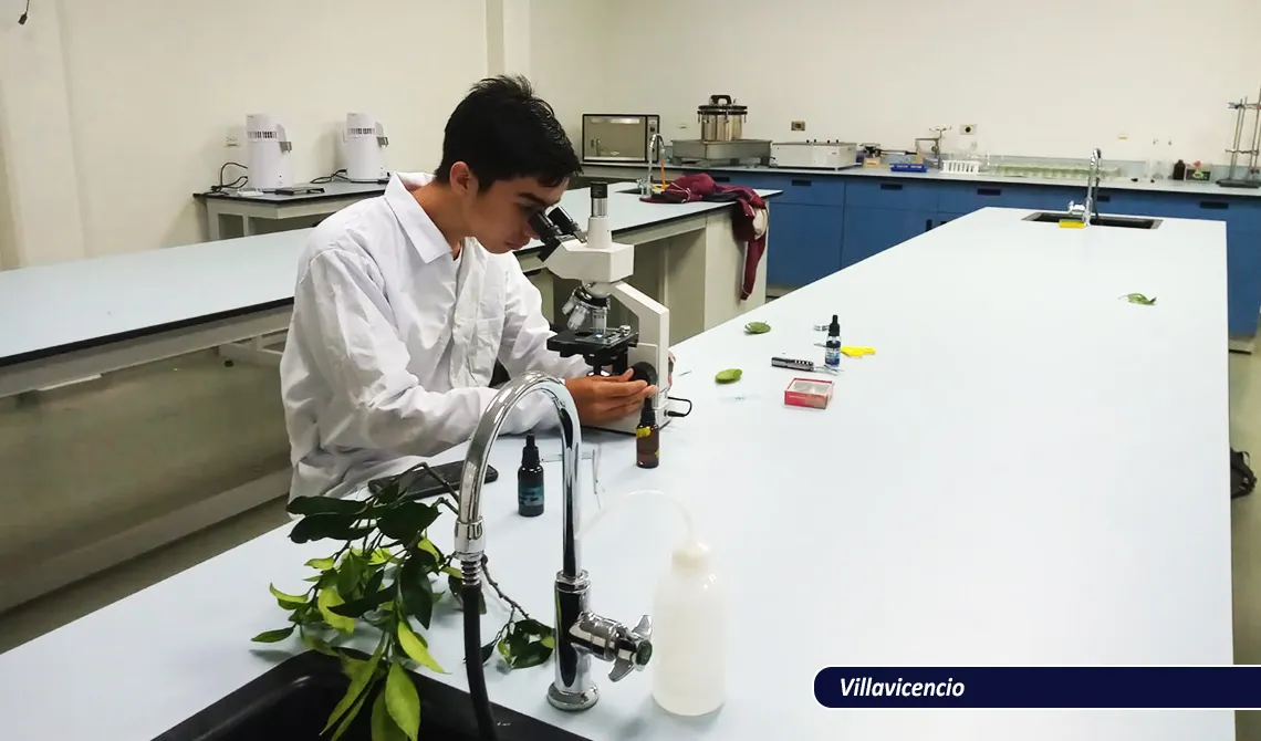 Química