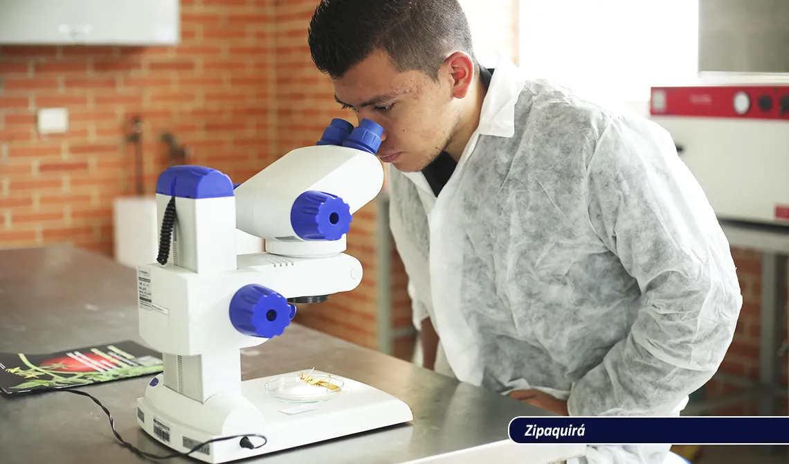 Química
