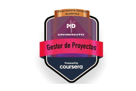 Insignia Digital como Gestor de Proyectos