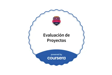 Insignia Digital en Evaluación de Proyectos