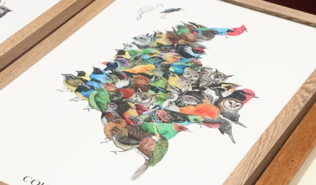 En la foto: Ilustración del emprendimiento Bioilustrarte
